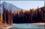 Real Estate Golden BC - Blaeberry Valley Acreage